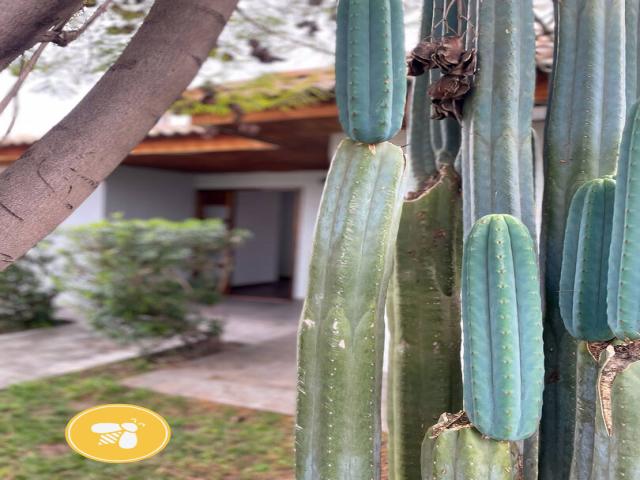 #14 - Casa para Arriendo en San Esteban - V - 1