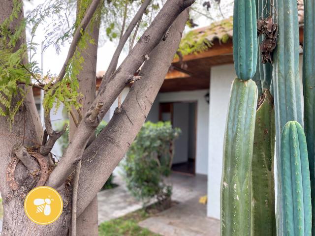 #14 - Casa para Arriendo en San Esteban - V - 2