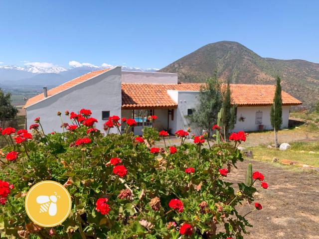#16 - Casa para Venta en Rinconada - V - 1