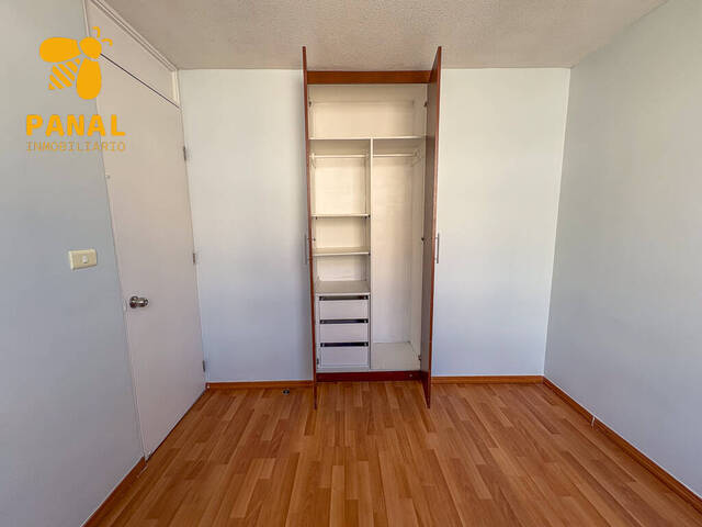 #30 - Departamento para Arriendo en San Felipe - V - 1