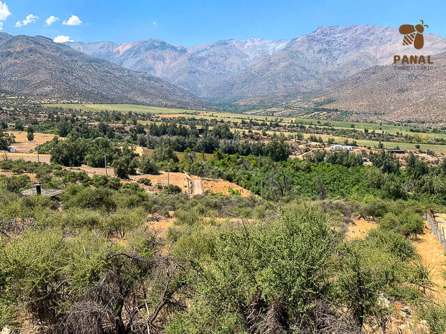 #46 - Terreno para Venta en San Esteban - V - 3